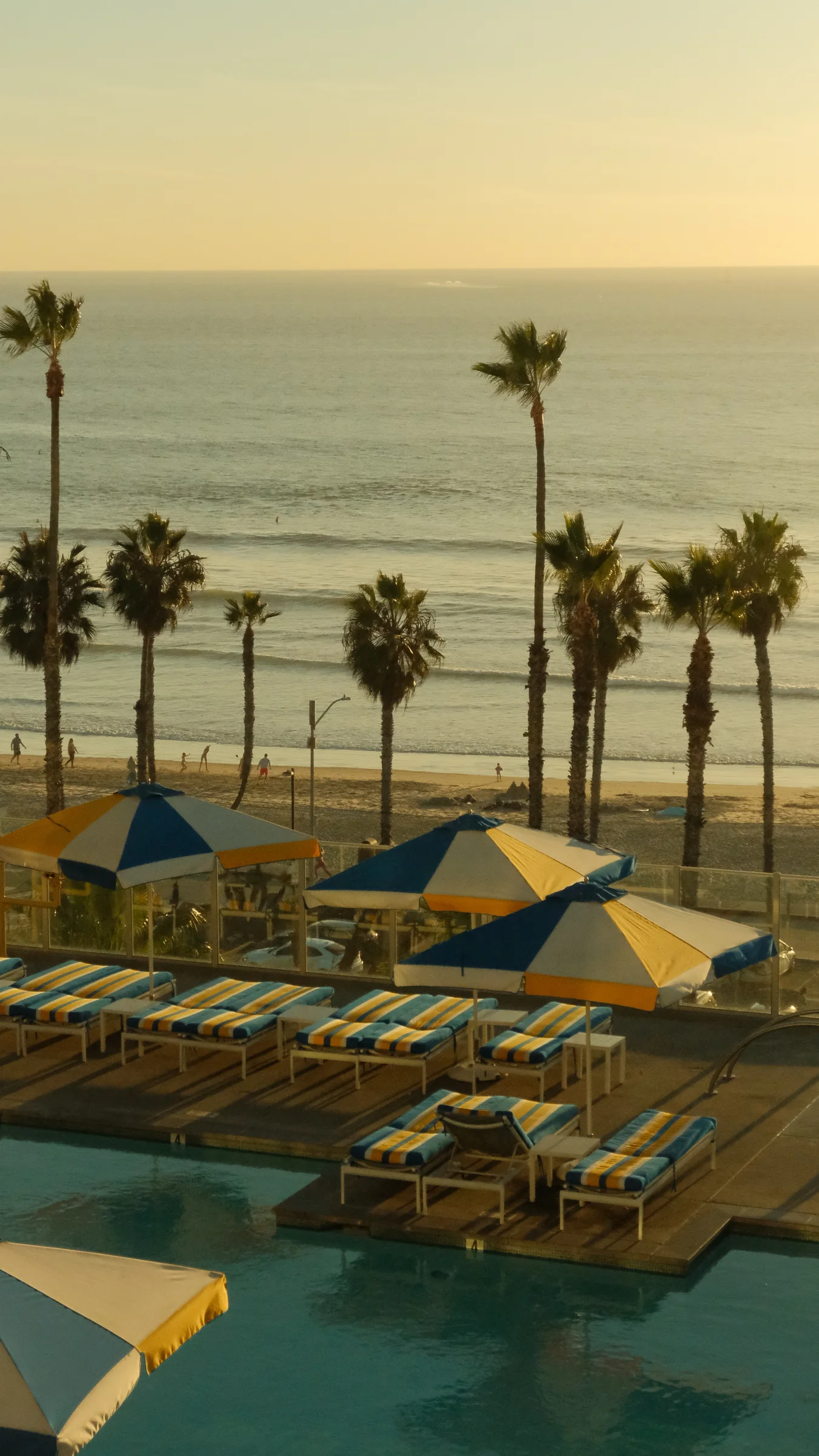 Coastal pool and palm trees at dusk